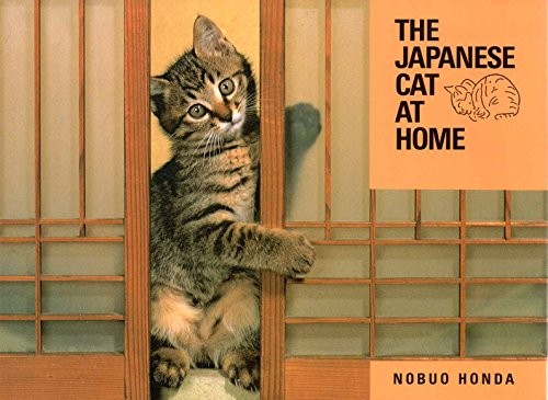 The japanese cat home - the,