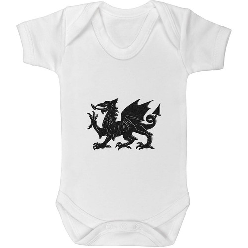 Welsh dragon baby - 'welsh,