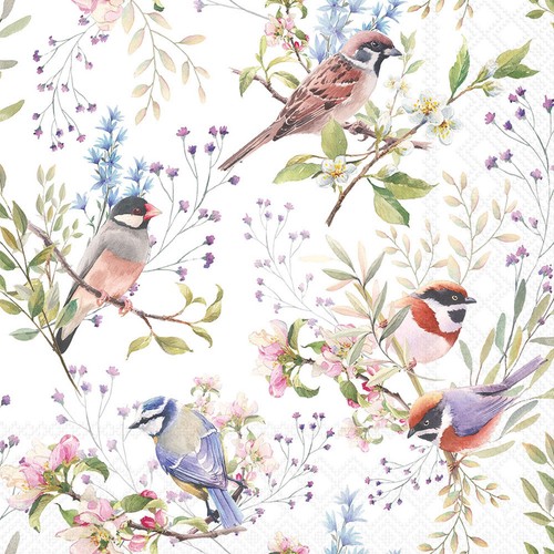 Garden birds paper - garden, napkins