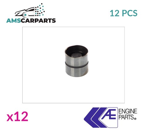 Hydraulic tappet lifter inlet - hydraulic,