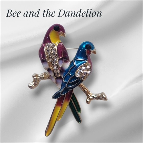 Parrot love birds - parrot,