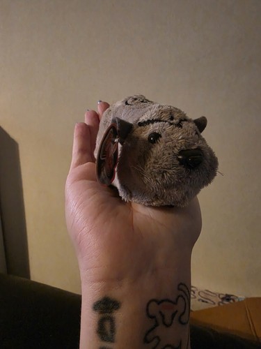 Kung zhu pets ninja - zhu,