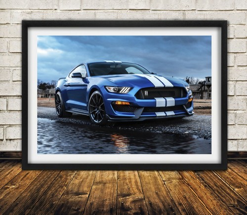 Styled ford shelby - ford, gt500
