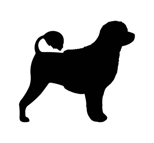 Portuguese water dog - dog, vinyl