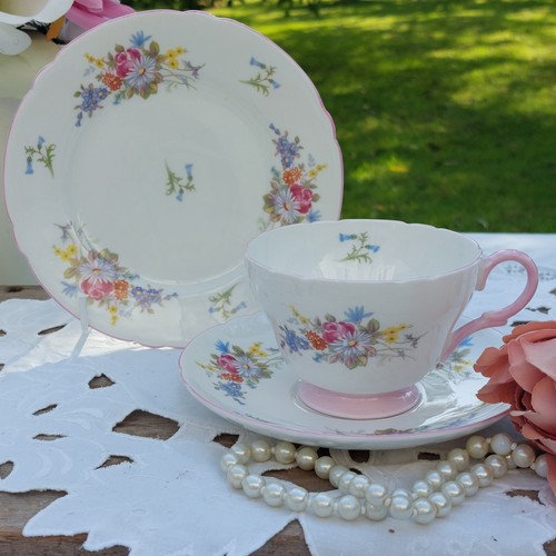 Shelley english bone china - bone,