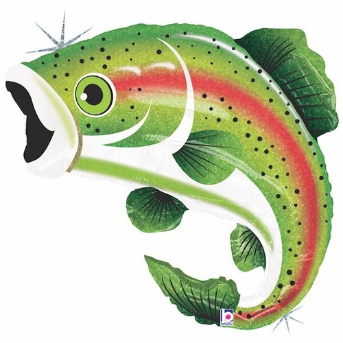 Rainbow trout foil - 29",