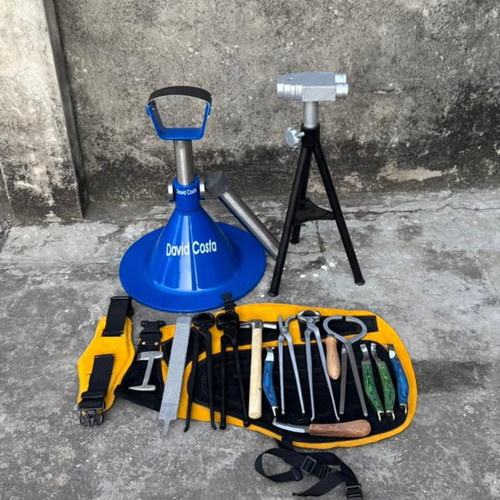 Professional farrier hoof - professional,