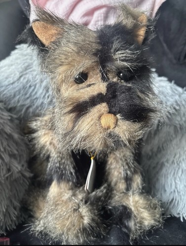 Charlie bears pooch - charlie,