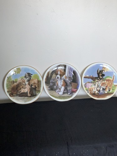 Royal albert collection - 3,