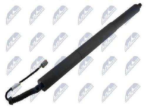 Genuine nty gas spring - genuine,