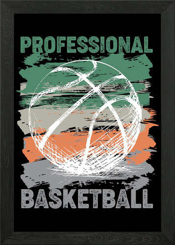 Professional basketball - professional,