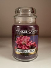 Yankee Candle Large Candles Rare - Angel Wings, Witches Brew and much more