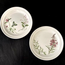 Pair of Vintage Portmeirion QUEENS HIDDEN GARDEN Bread & Butter Plates - 7.25"