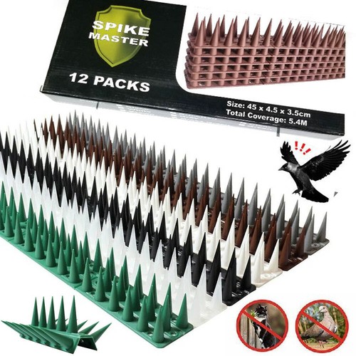 Fence wall spikes garden - wall,