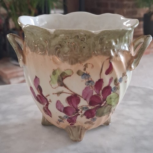 Antique royal wettina - royal,