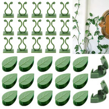 Plant Climbing Wall Vines