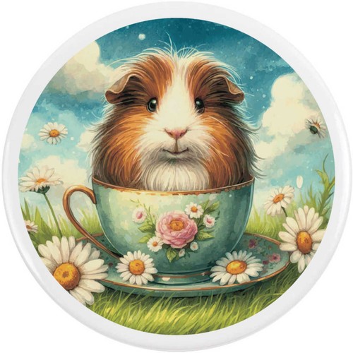 Guinea pig teacup - pig, teacup'