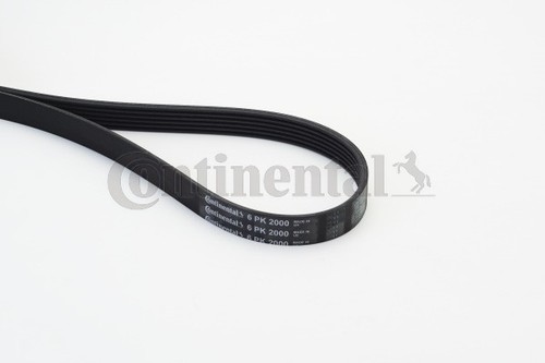 Continental ctam 6pk2000 - continental,