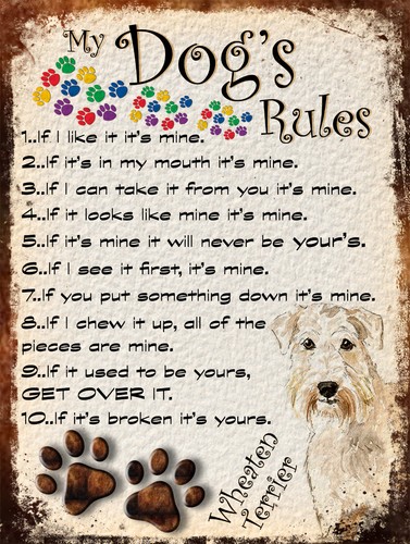 Dog rules retro - dog's,