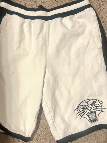 Puma shorts men - shorts, men's