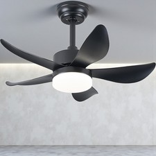 LED Ceiling Fan 30 Inch Smart
