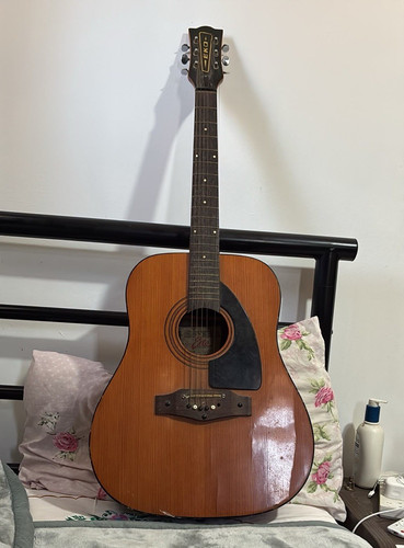 Eko string dreadnought - 6-string,
