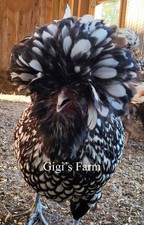 6 TOTAL -Polish Eggs-Silver
