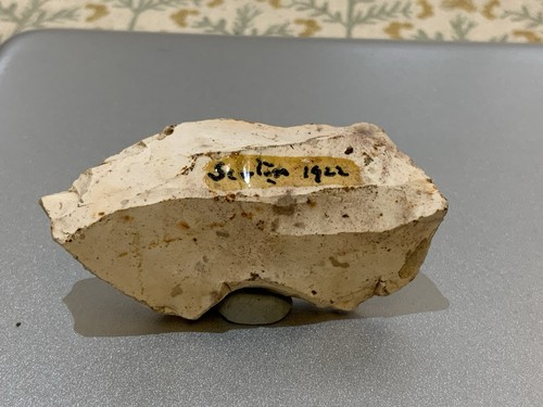 Neolithic flint hand tool - hand,