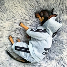 Adidog Dog Tracksuit Pet