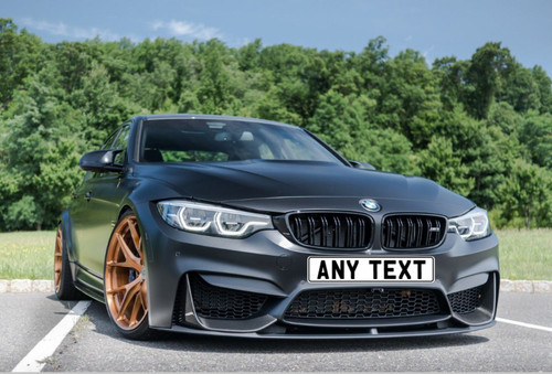Front stick number plate - front,