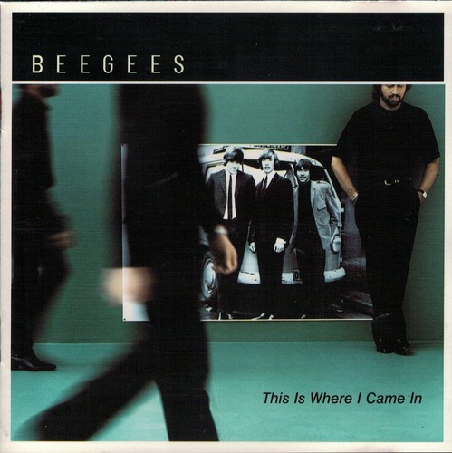 Bee gees this where i - this,