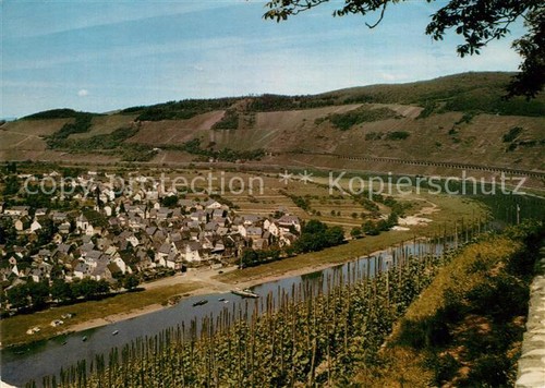 Puenderich moselle panoramic - puenderich,