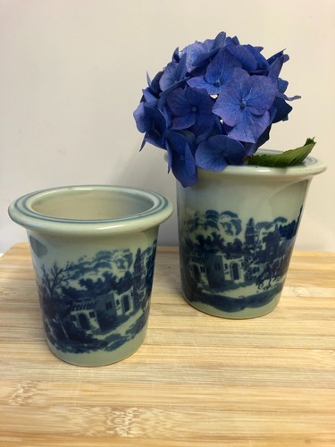 Antique victoria ware - antique, x2