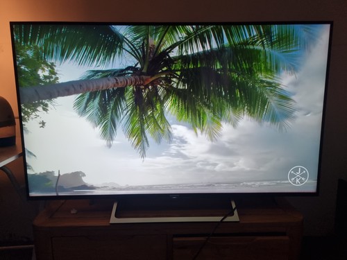 Sony bravia kd55xe8596 55 - bravia, 55”