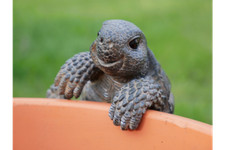 Blue Tit Bird Garden Ornament