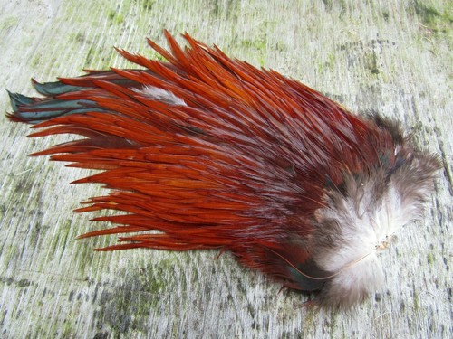 Irish fly supplies domestic - fly,