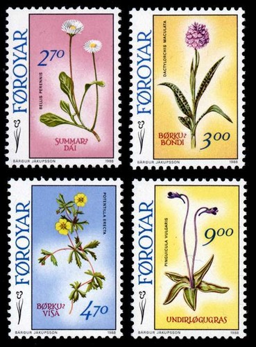 Faroe islands 1988 flowers - 1988,