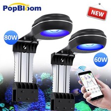 PopBloom RL60 RL80 WiFi Marine