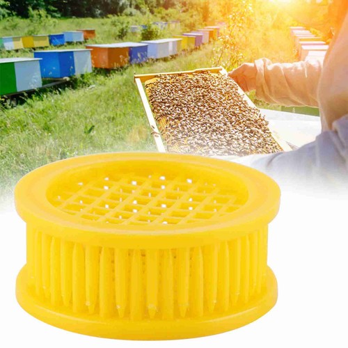 Queen bee rearing box - 6x,