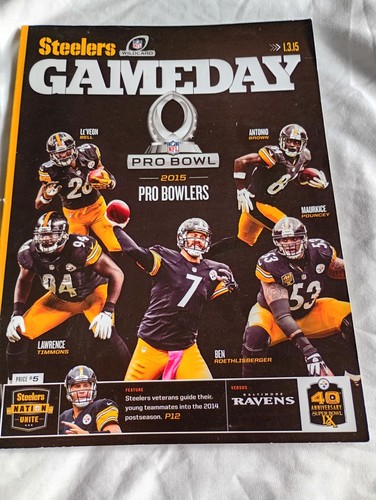 Nfl pittsburgh steelers - nfl, v