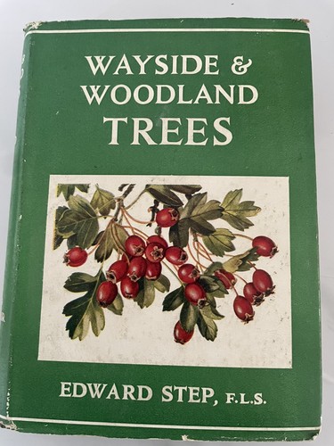 Wayside and woodland trees - wayside,