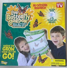 NEW Insect Lore Live Butterfly