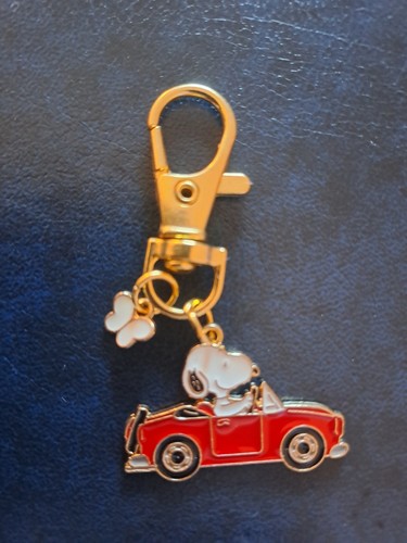 Snoopy car - snoopy,