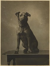 Alexander Ayton Edinburgh -