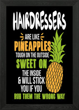Hairdressers Pineapples Framed