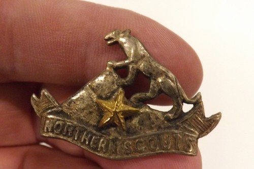 Military badge northern scouts - military,