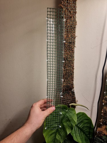 Moss pole
