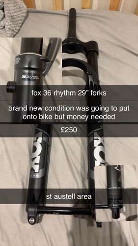 Fox rhythm 29in suspension - rhythm,