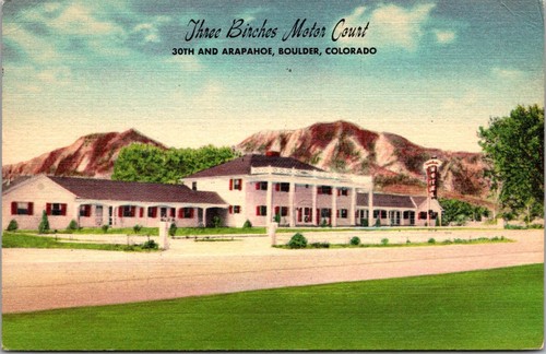 Three birches motor - three,
