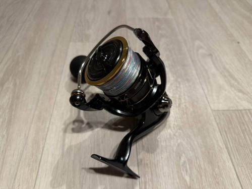Daiwa caldia 6000d - caldia, sw